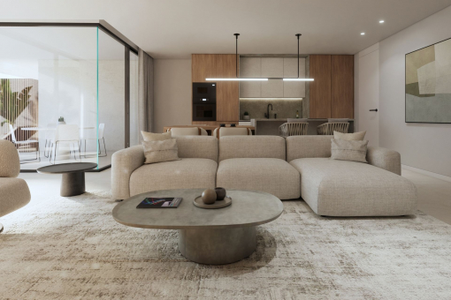 Living area and kitchen