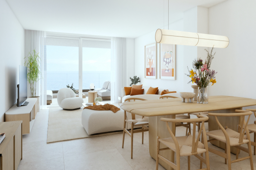 Living and dining area with kitchen