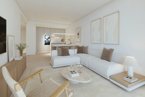 Living and dining area with kitchen