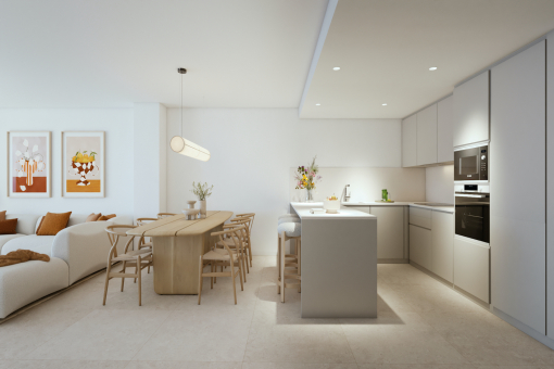 Living and dining area with kitchen