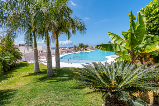 Garden and pool