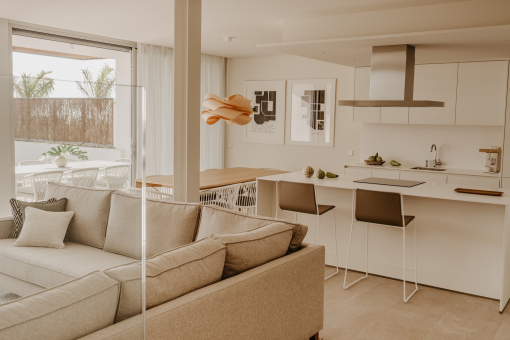 Kitchen and living area