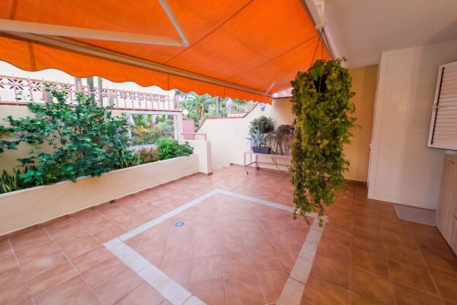 Terraza