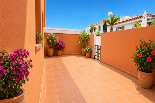 Terraza