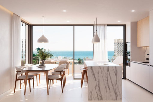 Living room and Kitchen