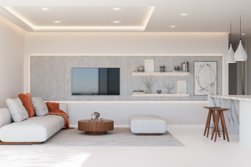 Living room and kitchen