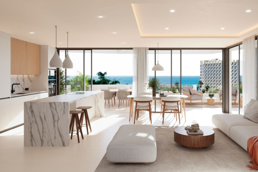 Living room and kitchen