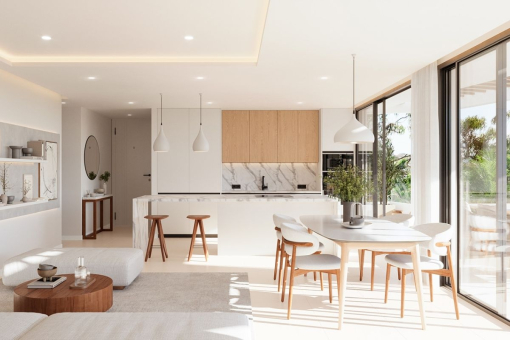 Living room and kitchen