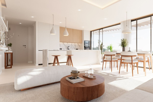 Living room and kitchen