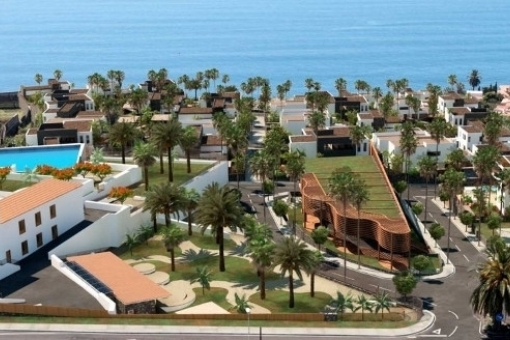 View of the project in Tacoronte