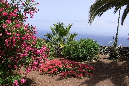 The wonderfully landscaped garden with sea views