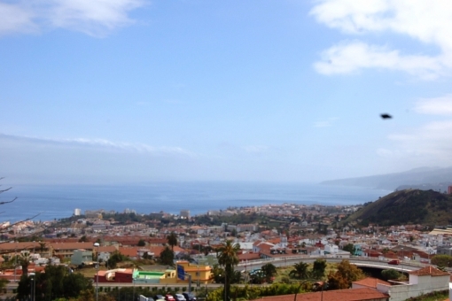 Blick auf Puerto de la Cruz und zür Küste