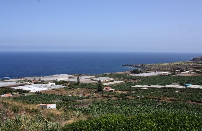 Sea-views from the finca