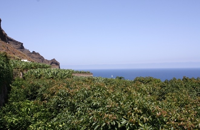 Solar in Buenavista del Norte